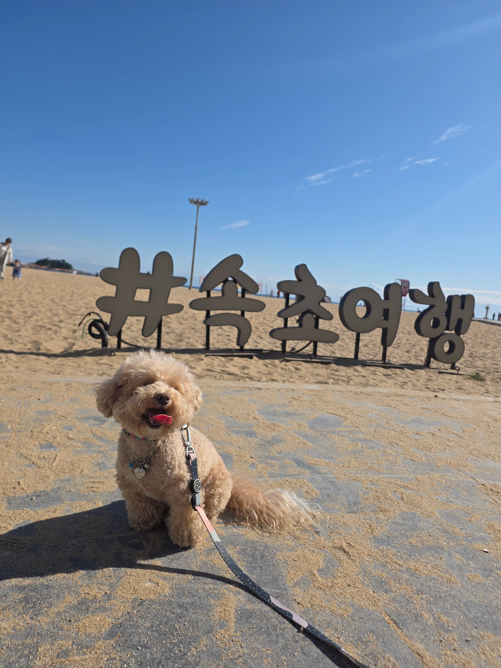 5 mins to Yeongamjeong, Sokcho · Pet-friendly · 16th-floor ocean view — photo 12